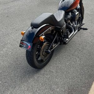 Tail Tidy Street Bob