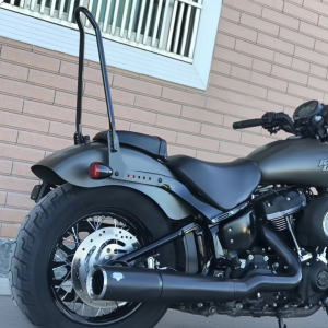 Harley Davidson Sissy Bar